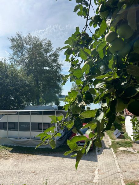 Campingplatz Soyensee — photo 6